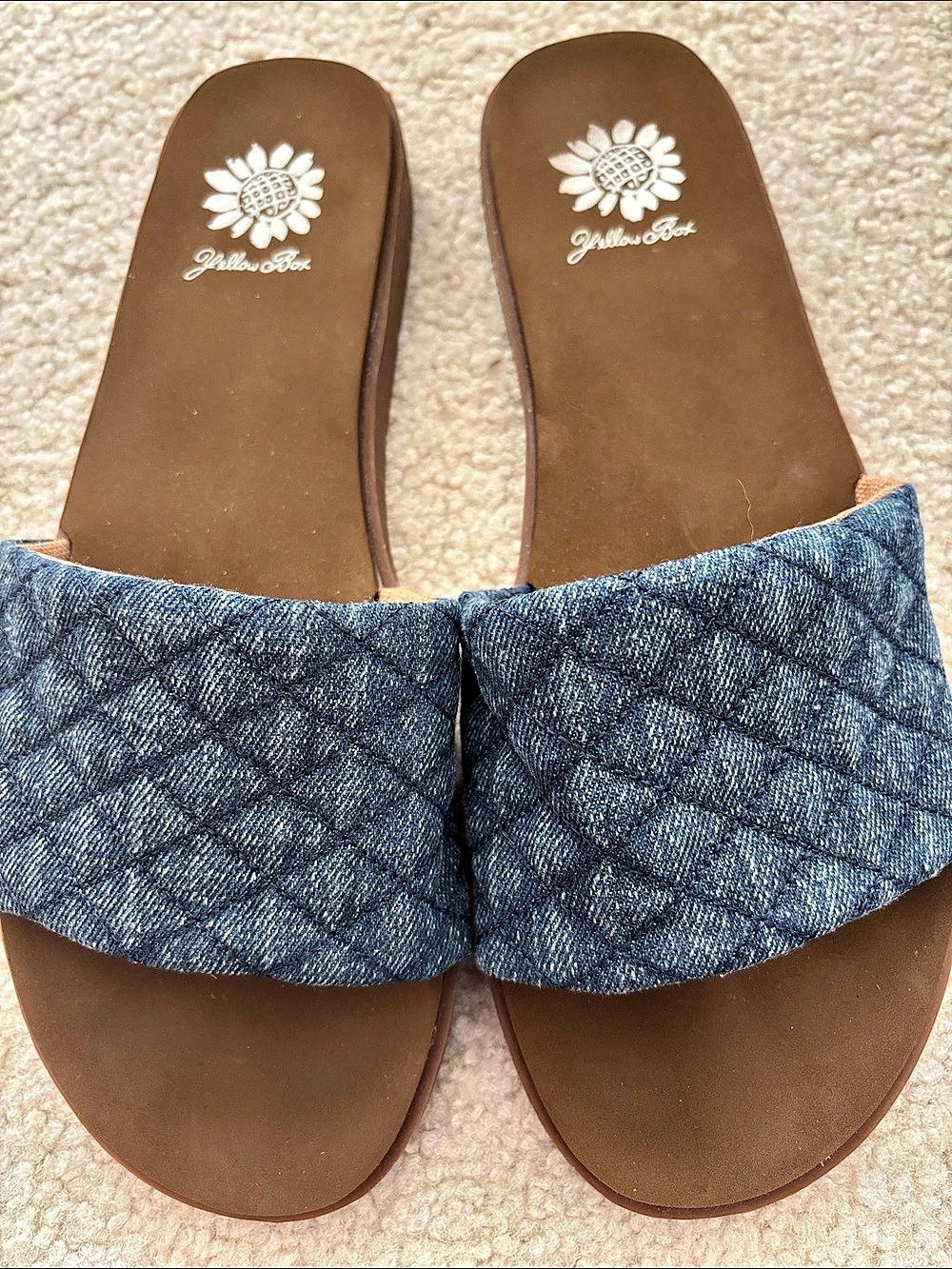 Yellow Box Fitzy Slide Sandal Blue & Brown Sandals